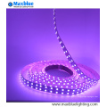 RGBW 4 couleurs One 5050 Flexible LED Strip Light